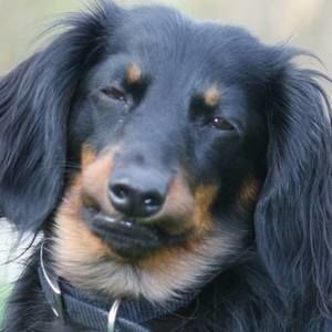 Meet your Posher, Ted